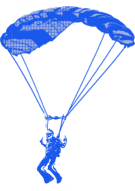 Pinkham & Associates Parachute